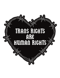 Trans right are human rights - Sticker